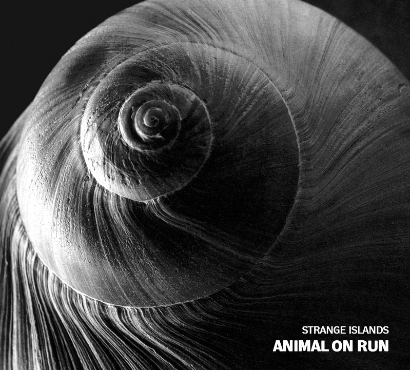 Strange Islands - Animal on Run, Ears&Wind Records 2016