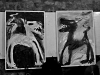 Obrazy Evy Macholánové vyzdobily po dobu festivalu Boro. Les - Krákor retrospektiva, 29. a 30. listopadu 2013, Brno - klub Boro, foto Maryen