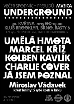 Spodní proudy 30. května 2015, Brno - Brooklyn