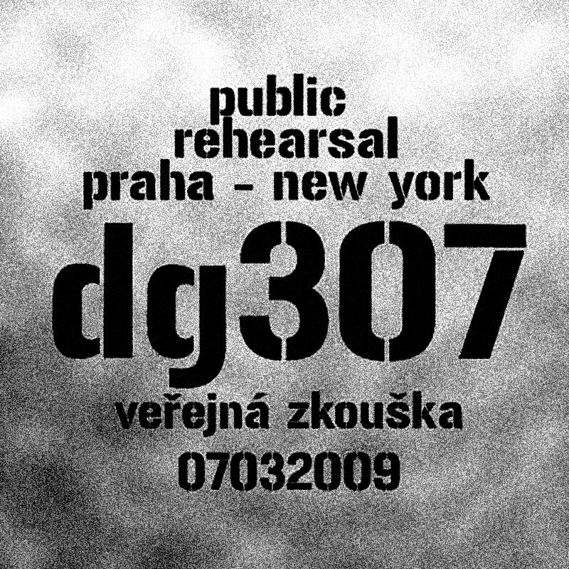 DG 307