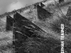 Herman Traumer (Ears&Wind Records 2018)