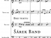 Šárek Band