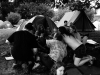 Krákor 2007, Radešín