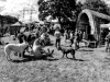 Krákor 2016, Ostopovice u Brna. Foto Maryen