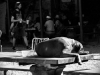 Večeře je na stole. Festival Napříč 2016, Meziříčko u Želetavy. Foto Maryen